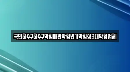 국민하수구하수구막힘배관막힘변기막힘싱크대막힘업체