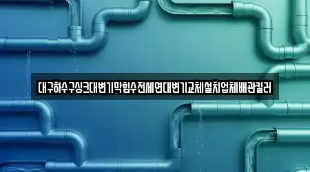 대구하수구싱크대변기막힘수전세면대변기교체설치업체배관킬러