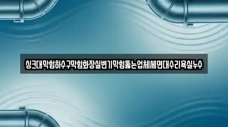 싱크대막힘하수구막힘화장실변기막힘뚫는업체세면대수리욕실누수