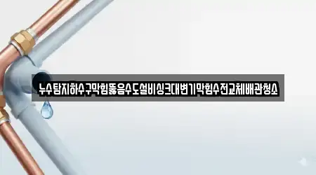 누수탐지하수구막힘뚫음수도설비싱크대변기막힘수전교체배관청소