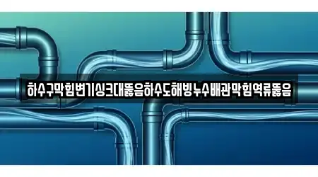 하수구막힘변기싱크대뚫음하수도해빙누수배관막힘역류뚫음