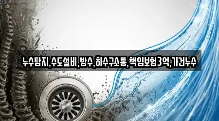 누수탐지,수도설비,방수,하수구소통,책임보험3억,가건누수