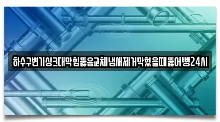 하수구변기싱크대막힘뚫음교체냄새제거막혔을때뚫어뻥24시