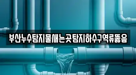 부산누수탐지물새는곳탐지하수구역류뚫음