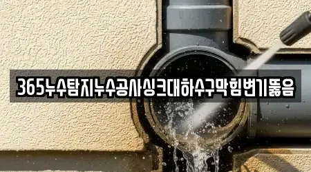 365누수탐지누수공사싱크대하수구막힘변기뚫음