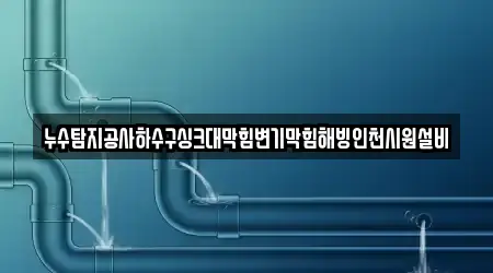 누수탐지공사하수구싱크대막힘변기막힘해빙인천시원설비