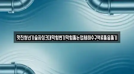 멋진청년기술자싱크대막힘변기막힘뚫는업체하수구역류뚫음뚫기