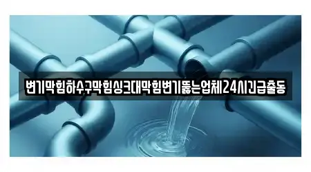 변기막힘하수구막힘싱크대막힘변기뚫는업체24시긴급출동