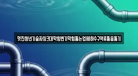 멋진청년기술자싱크대막힘변기막힘뚫는업체하수구역류뚫음뚫기