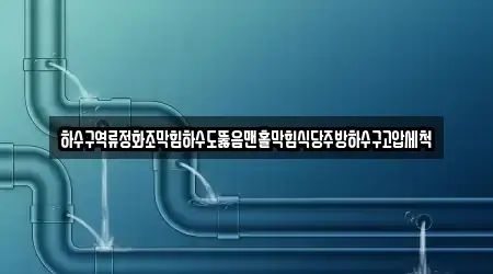 하수구역류정화조막힘하수도뚫음맨홀막힘식당주방하수구고압세척