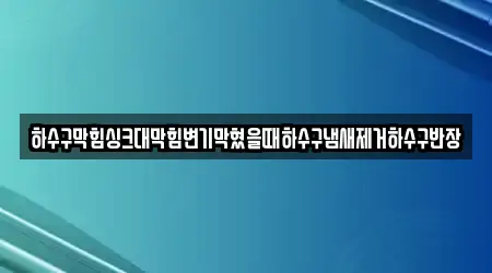 하수구막힘싱크대막힘변기막혔을때하수구냄새제거하수구반장