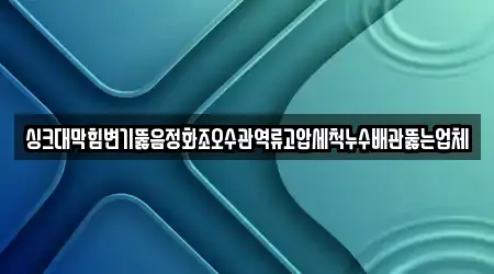 싱크대막힘변기뚫음정화조오수관역류고압세척누수배관뚫는업체