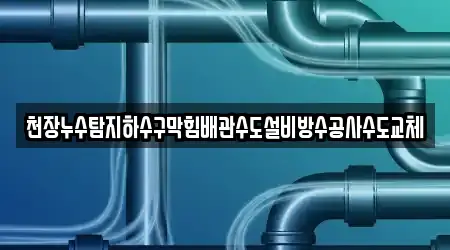 천장누수탐지하수구막힘배관수도설비방수공사수도교체