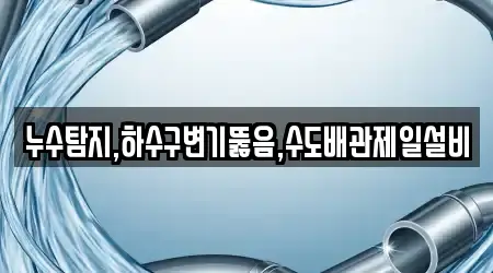 누수탐지,하수구변기뚫음,수도배관제일설비