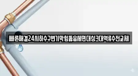 빠른해결24시하수구변기막힘뚫음세면대싱크대역류수전교체