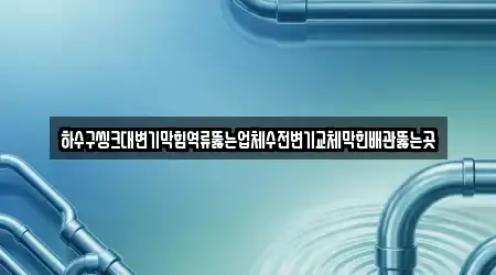 하수구씽크대변기막힘역류뚫는업체수전변기교체막힌배관뚫는곳