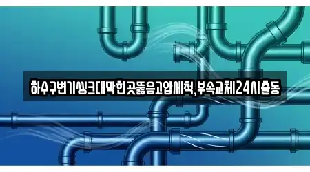 하수구변기씽크대막힌곳뚫음고압세척,부속교체24시출동