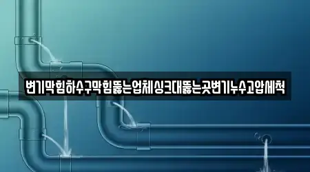 변기막힘하수구막힘뚫는업체싱크대뚫는곳변기누수고압세척