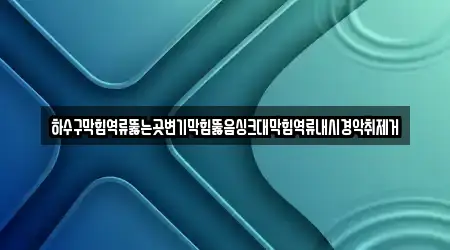 하수구막힘역류뚫는곳변기막힘뚫음싱크대막힘역류내시경악취제거