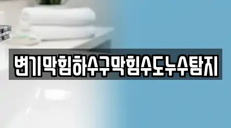 변기막힘하수구막힘수도누수탐지