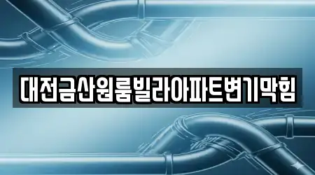 대전금산원룸빌라아파트변기막힘