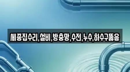 세종집수리,설비,방충망,수전,누수,하수구뚫음