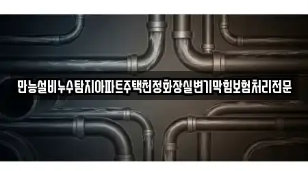 만능설비누수탐지아파트주택천정화장실변기막힘보험처리전문