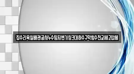 집수리욕실배관공사누수탐지변기싱크대하수구막힘수전교체고압세