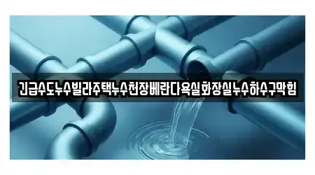 긴급수도누수빌라주택누수천장베란다욕실화장실누수하수구막힘