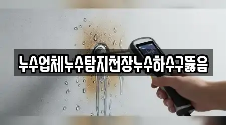 누수업체누수탐지천장누수하수구뚫음