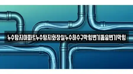누수탐지아파트누수탐지화장실누수하수구막힘변기뚫음변기막힘