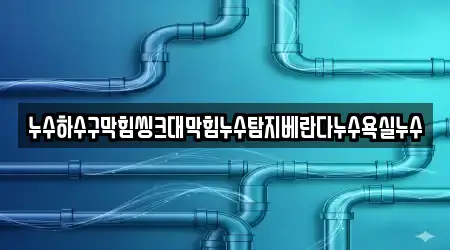 누수하수구막힘씽크대막힘누수탐지베란다누수욕실누수