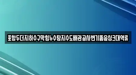 포항두더지하수구막힘누수탐지수도배관공사변기뚫음싱크대역류