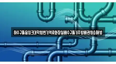 하수구뚫음싱크대막힘변기역류화장실배수구뚫기주방배관청소해빙