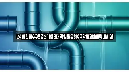 24시간하수구프로변기싱크대막힘뚫음하수구막힘고압세척내시경