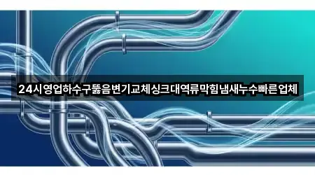 24시영업하수구뚫음변기교체싱크대역류막힘냄새누수빠른업체