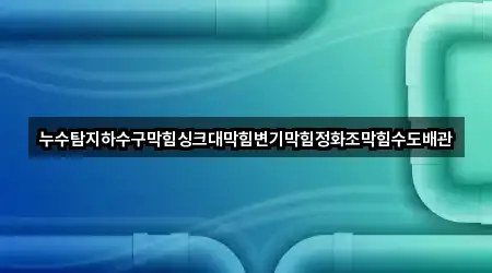 누수탐지하수구막힘싱크대막힘변기막힘정화조막힘수도배관