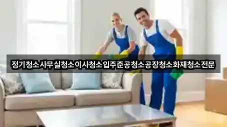 정기청소사무실청소이사청소입주준공청소공장청소화재청소전문