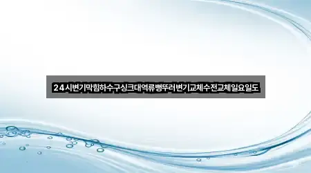 24시변기막힘하수구싱크대역류뻥뚜러변기교체수전교체일요일도