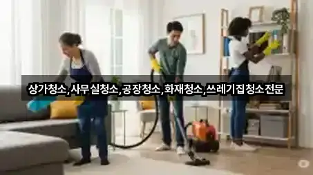 추천 경북 상줄동 상가청소 3곳 바로가기 추천 경북 상줄동 상가청소 3곳 바로가기