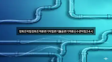 정화조막힘정화조역류변기막힘변기뚫음변기역류오수관막힘24시