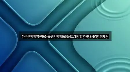 하수구막힘역류뚫는곳변기막힘뚫음싱크대막힘역류내시경악취제거
