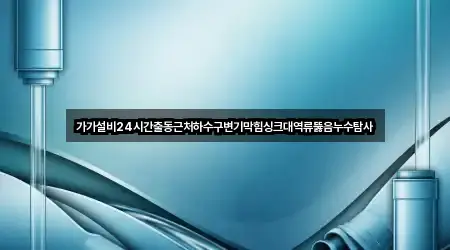 가가설비24시간출동근처하수구변기막힘싱크대역류뚫음누수탐사