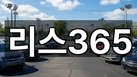리스365