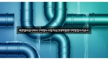 배관설비공사하수구막힘누수탐지싱크대막힘변기막힘집수리공사