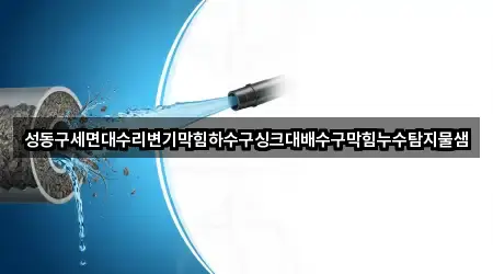성동구세면대수리변기막힘하수구싱크대배수구막힘누수탐지물샘