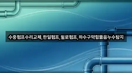 수중펌프수리교체,한일펌프,윌로펌프,하수구막힘뚫음누수탐지