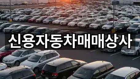신용자동차매매상사