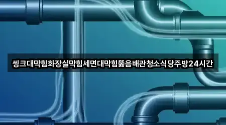 씽크대막힘화장실막힘세면대막힘뚫음배관청소식당주방24시간