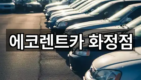 에코렌트카 화정점